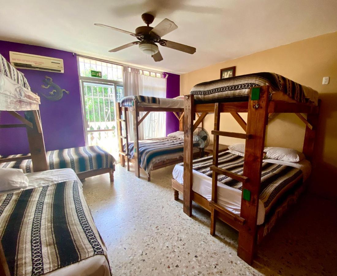 Wandering Monkey Guest house