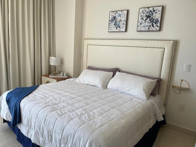 Apartamento De Lujo En Playa Zona Dorada Camino Al Mar