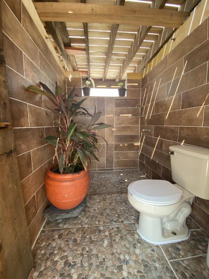 Wandering Monkey Guest house Mazatlan