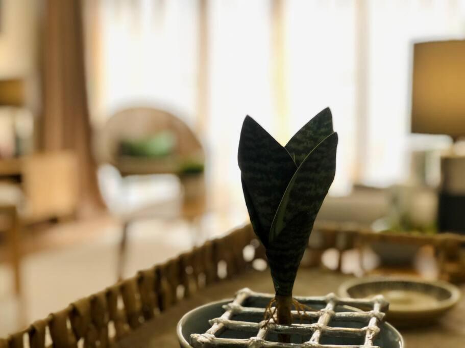 Apartment Beautiful With 4 Pools And Roofgarden Mazatlan