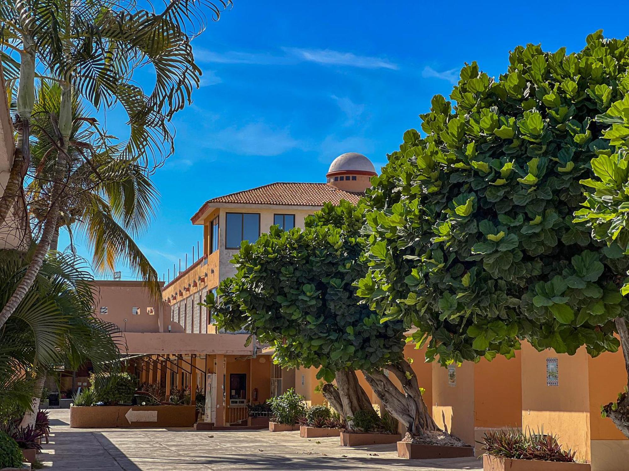 Oasis 3* Mazatlán