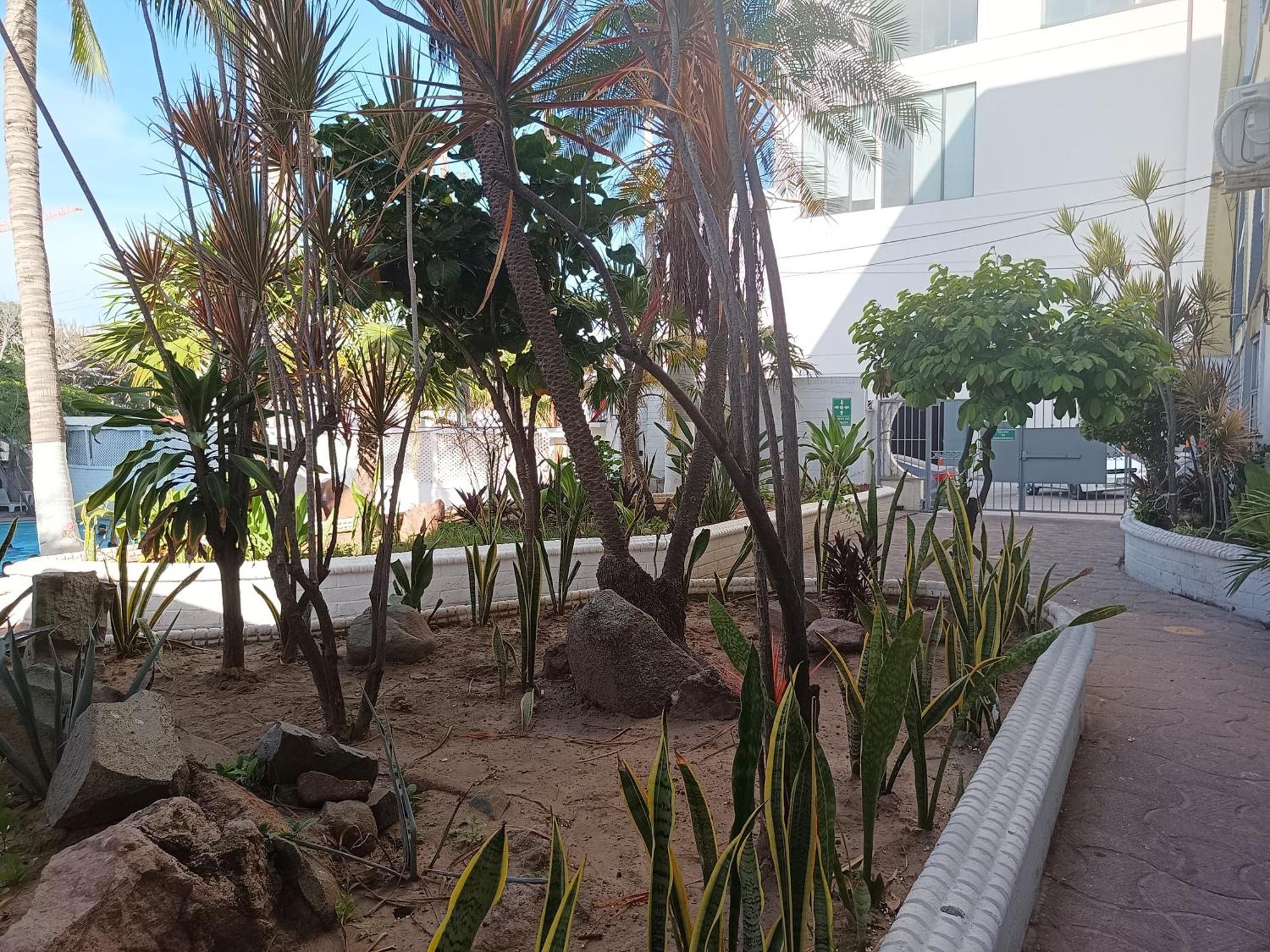 Essen's Hotel Mazatlán