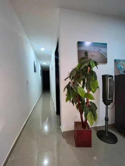 Departamento Playa Norte *