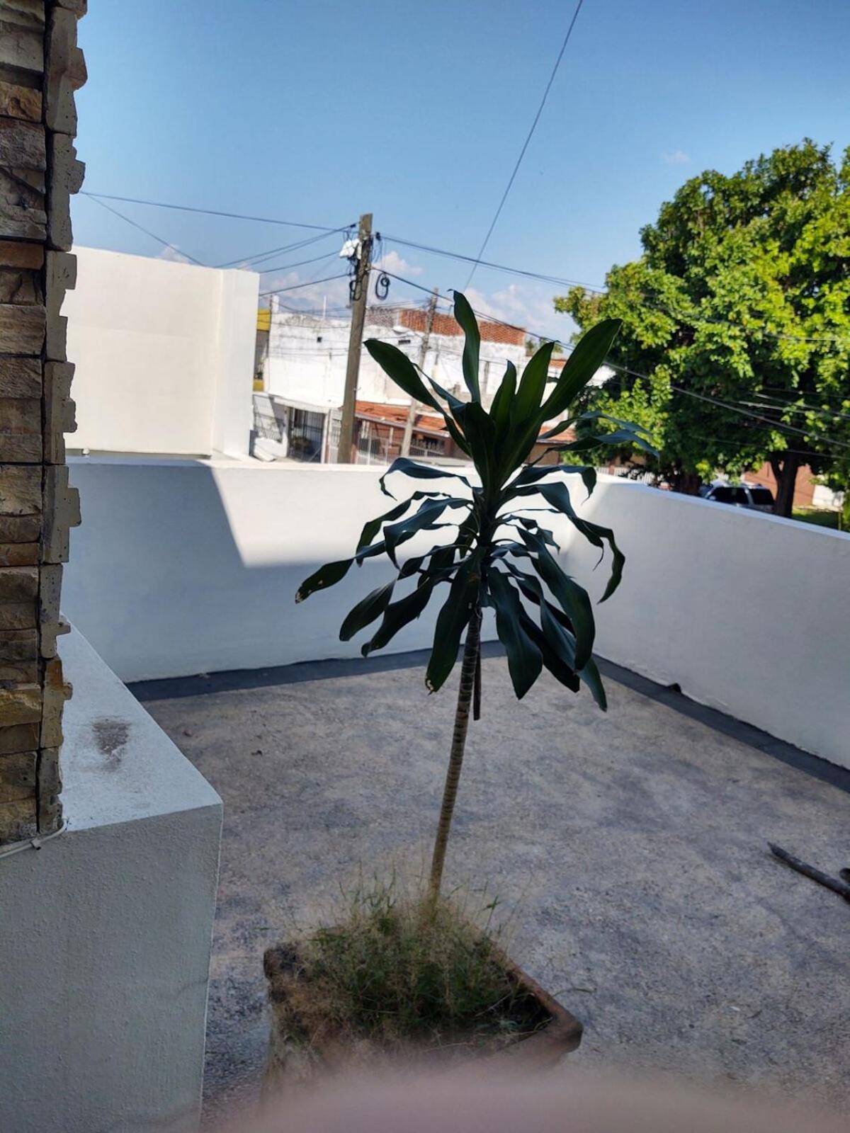 Casa Grande Centrico Cerca Del Malecon