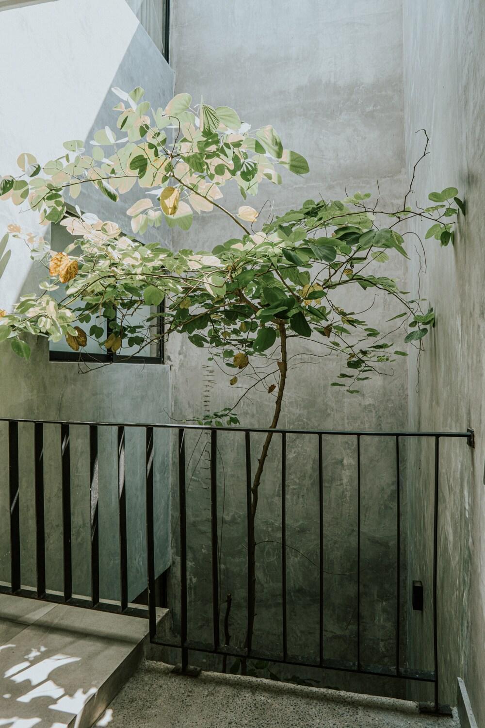 Few Steps From The Beach, At Golden Zone Apartment