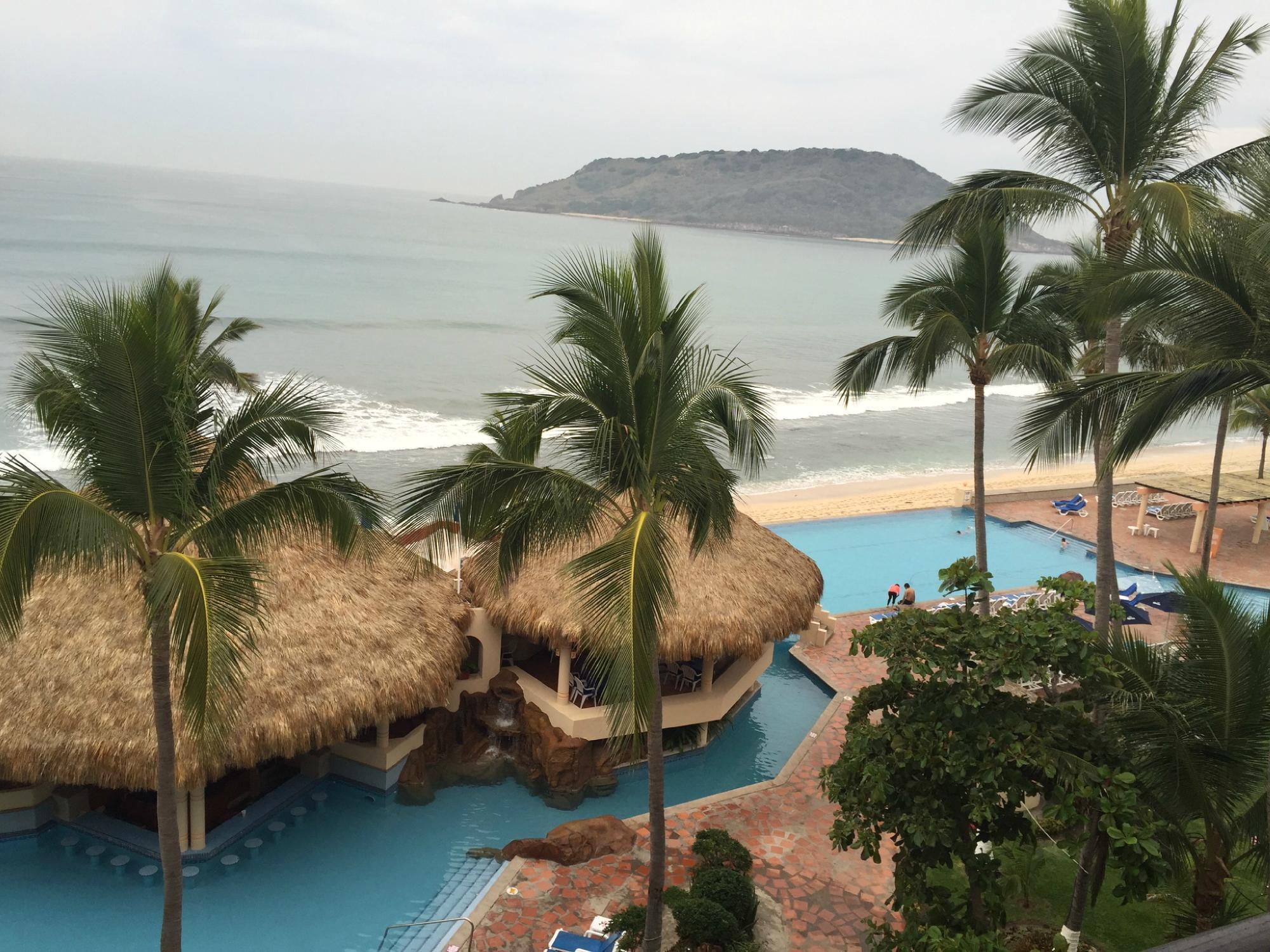 The Palms Of
