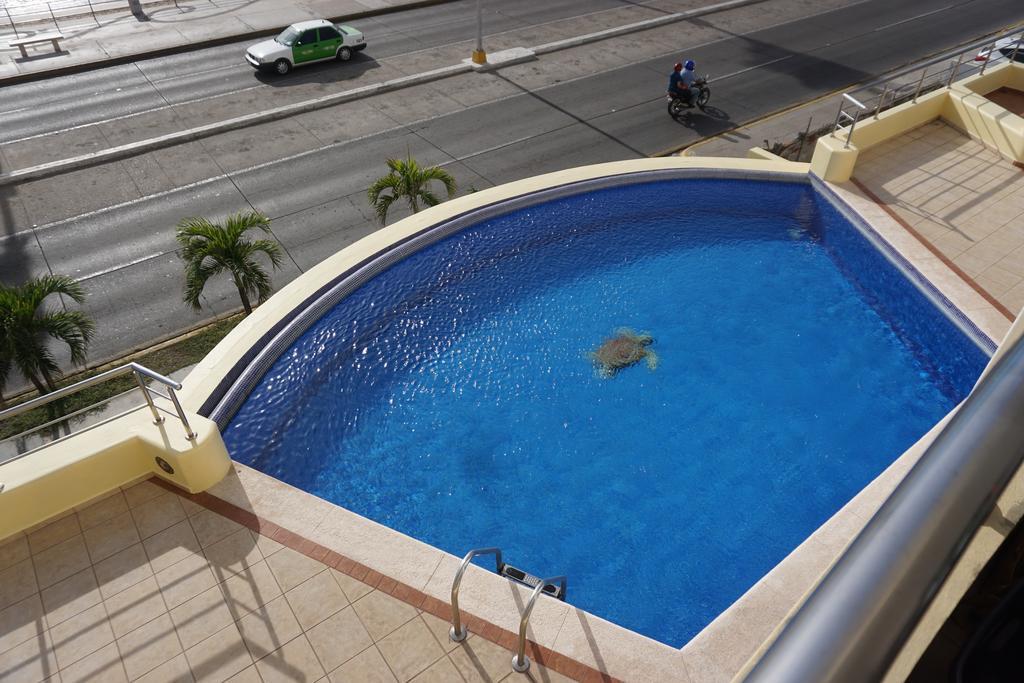 Condominios San Juan Apartment