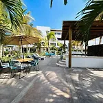 Palmilla 102C, Comodo Y Acogedor Departamento