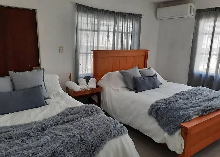 Cozy Apartment Downtown