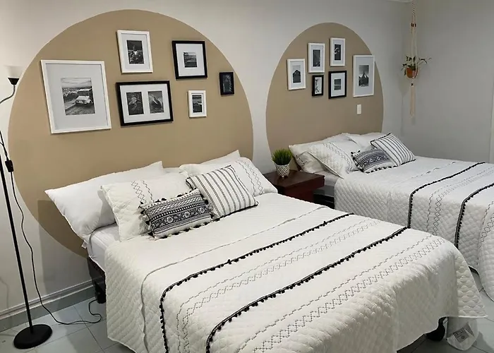 Hotel Boutique Beehive Coliving