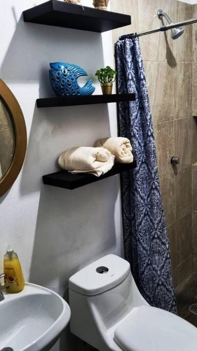 Hermoso Departamento Nuevo Con Acceso A Alberca Apartamento *