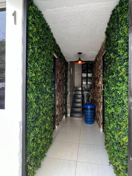 Depa Hermoso A 30 Metros De La Playa Apartamento