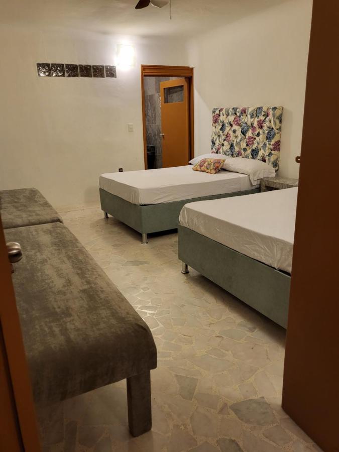 Departamento Planta Baja Playa Centro Monos Bichis Apartamento *