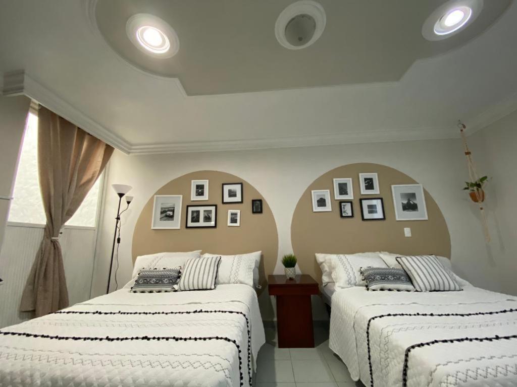 Boutique Beehive Coliving