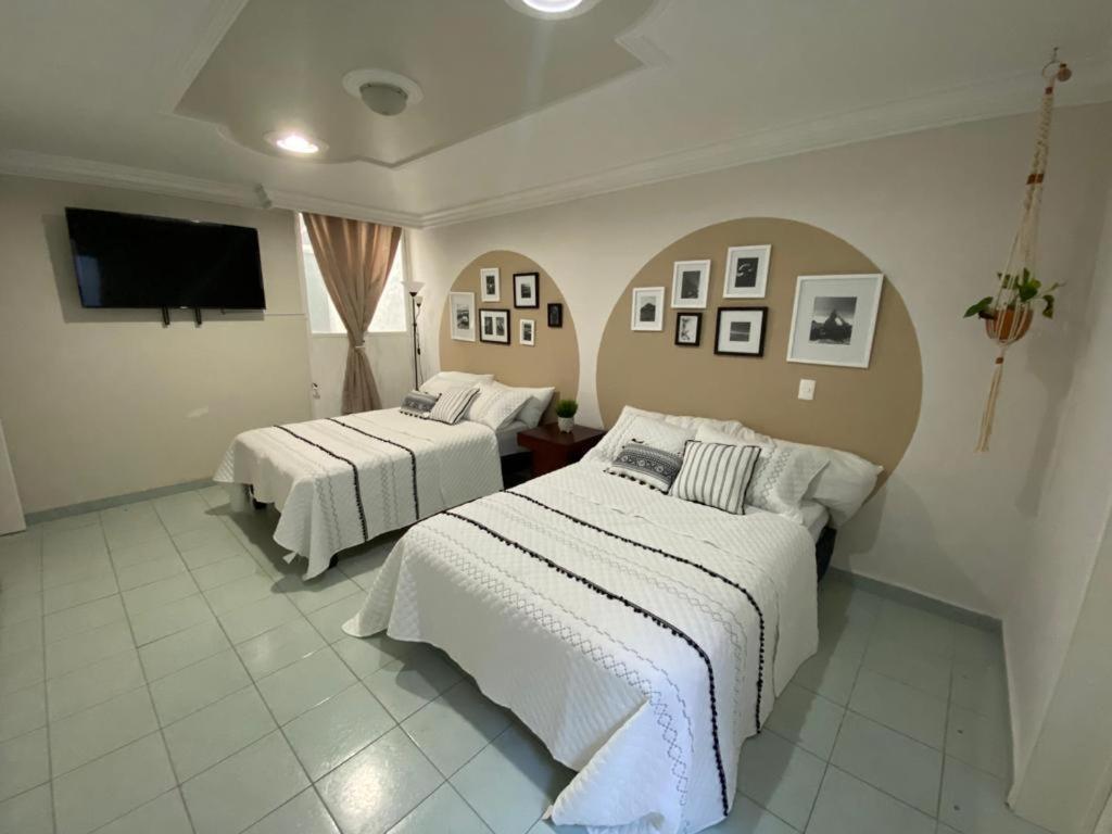 Boutique Beehive Coliving Hotel