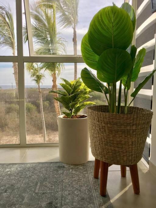 Apartamento Con Vista Al Mar En Almar Mazatlán