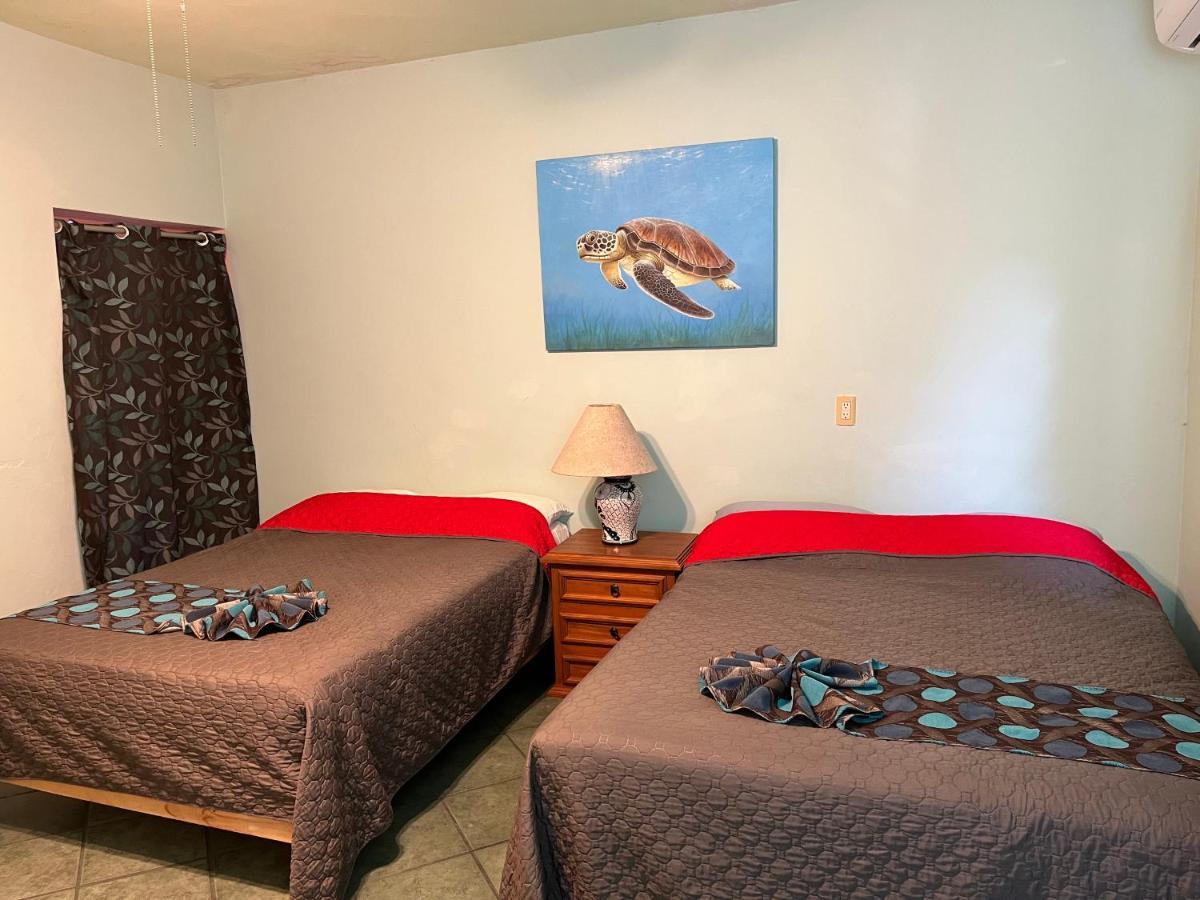 Casa De Sueños *