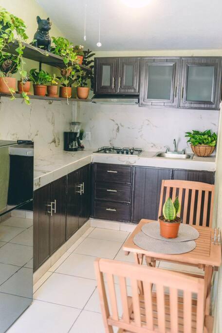 Departamento En Zona Dorada