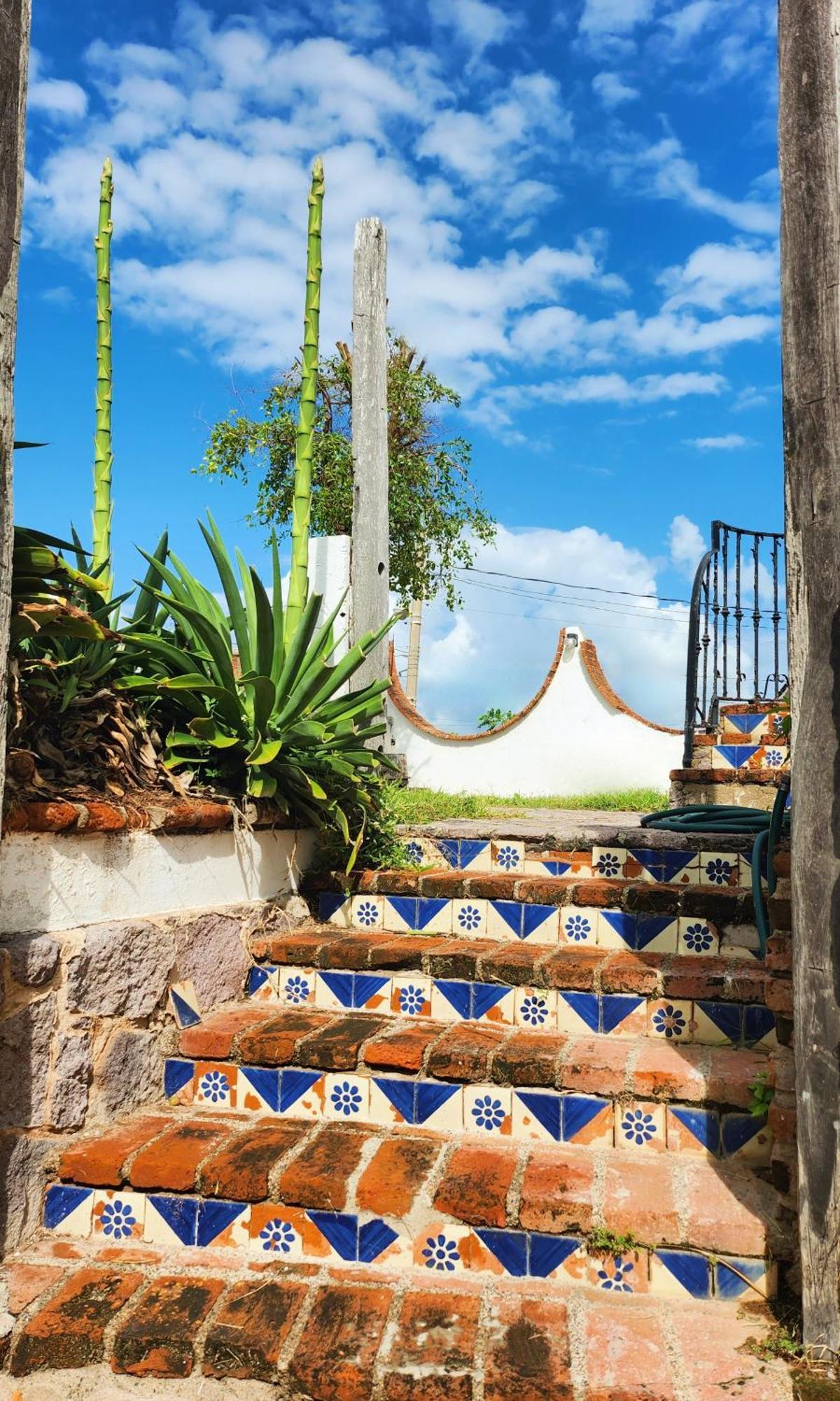 Bed and breakfast Hill House - Mazatlán