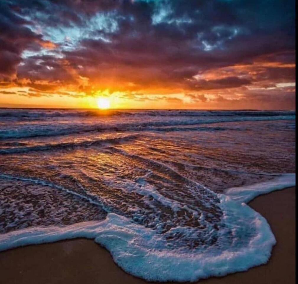 D1 Golden Zone Oceanview Balboa