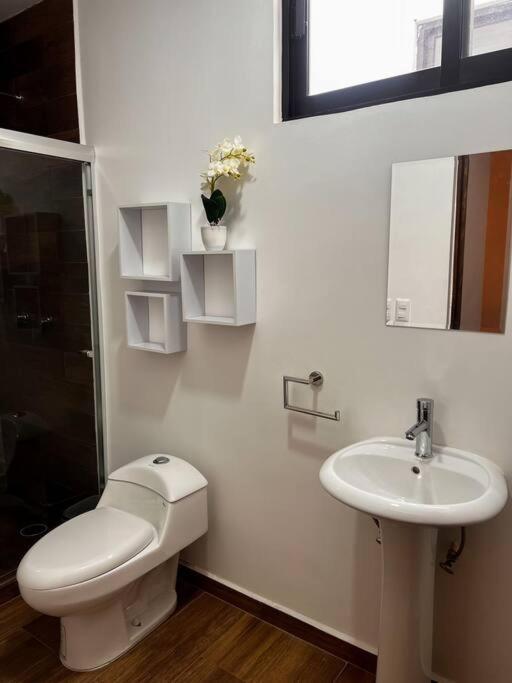 Apartamento Ubicado En La Marina/cerca De La Playa/ 2 Albercas *