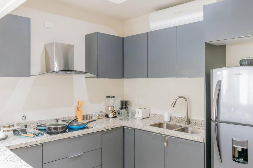 Apartamento Penthouse Con Terraza En Zona Dorada *