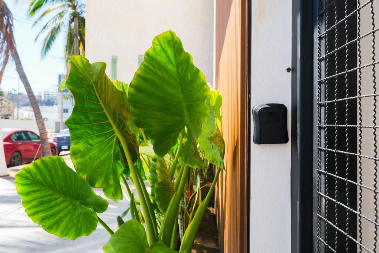Apartamento Relaxed Centrally Located 2br 1ba Ideal Workspace *