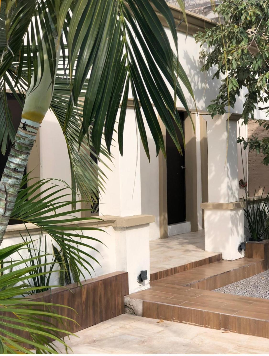 The Black Tree Hotel Mazatlán