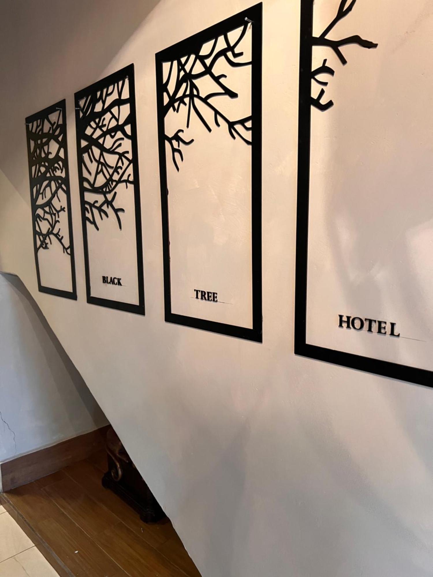 Hotel The Black Tree Mazatlán