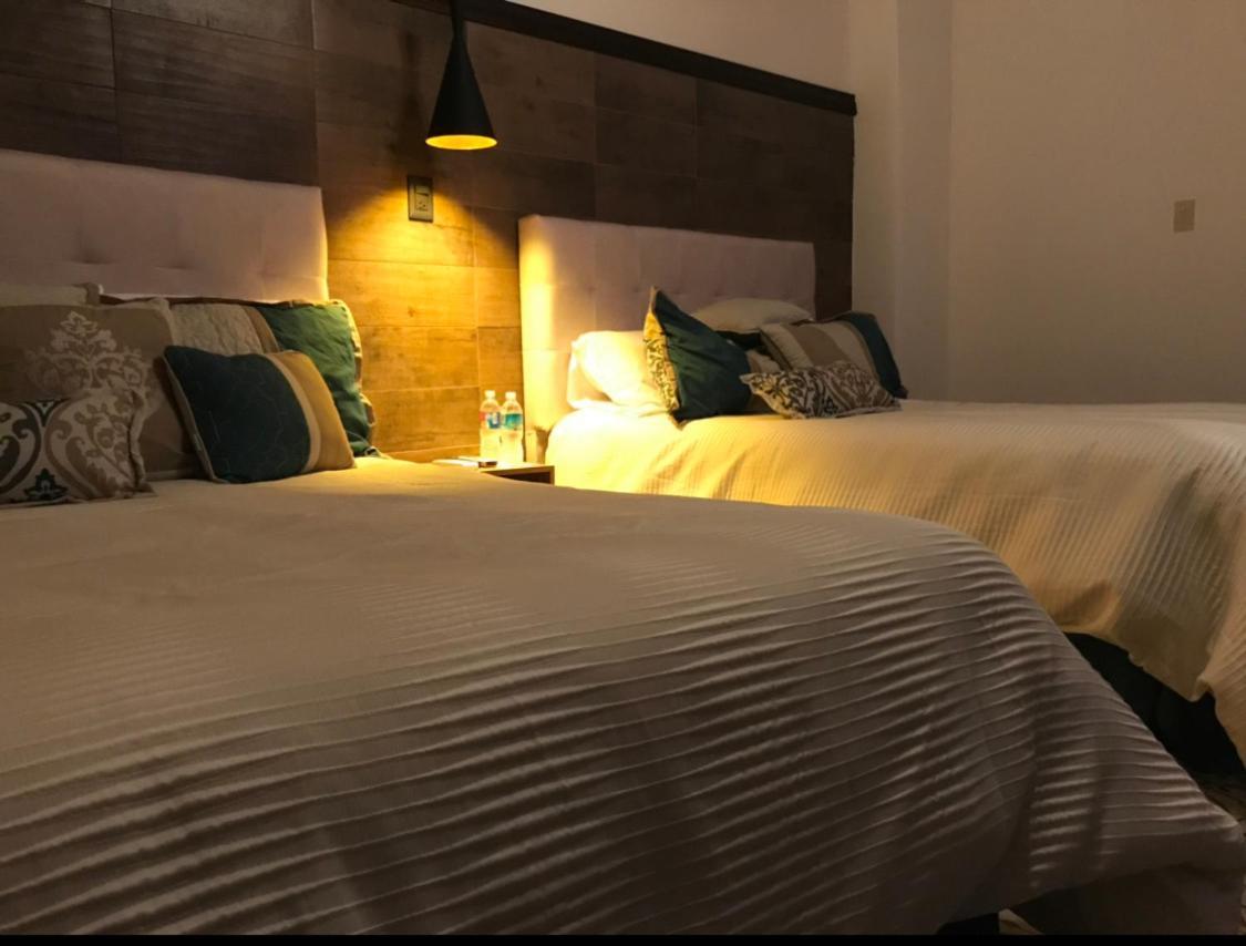 Hotel The Black Tree Mazatlán