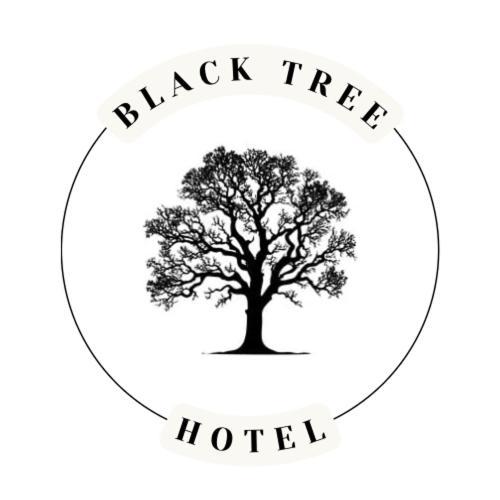 Hotel The Black Tree Mazatlán