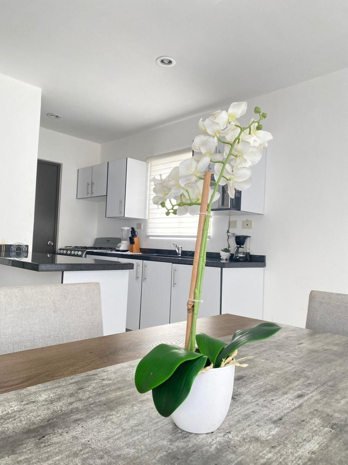 Apartamento Alejandria Vacation *