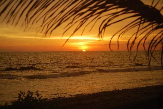 Cardon Adventure Mazatlán
