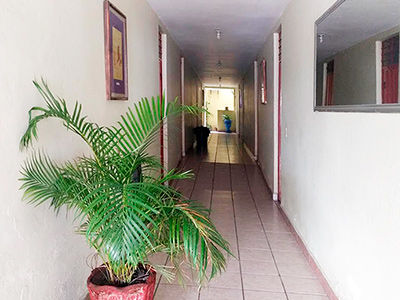 Esperanza 2*