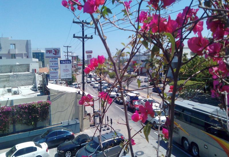 Hotel Hotel Mazatlan 2*